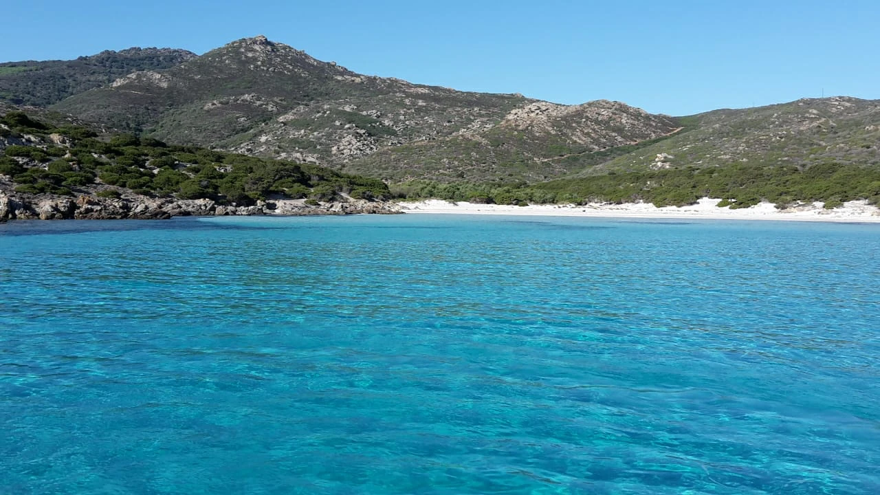 asinara foto