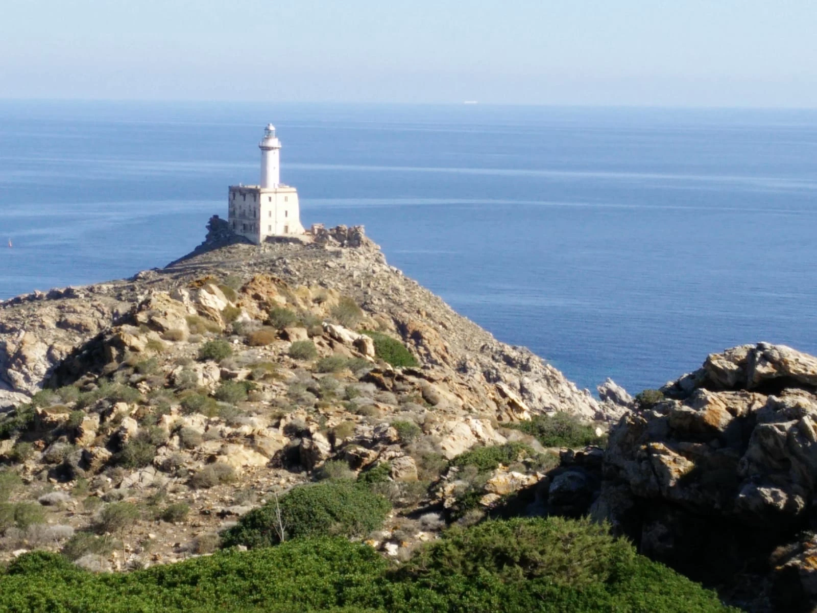 asinara foto 1